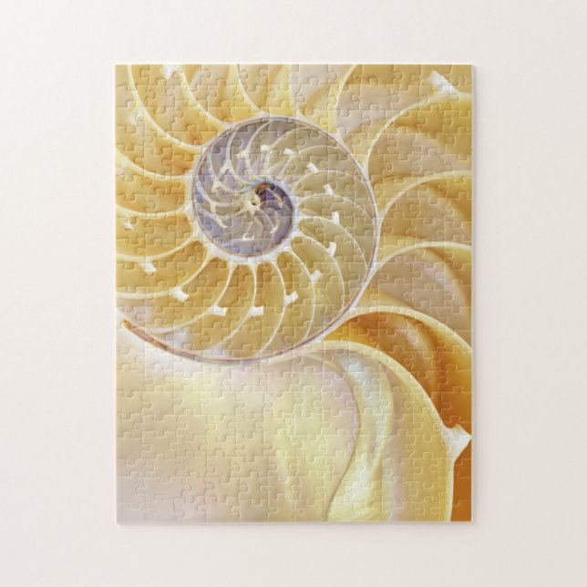 Nautilus Jigsaw Puzzle (Vertical)
