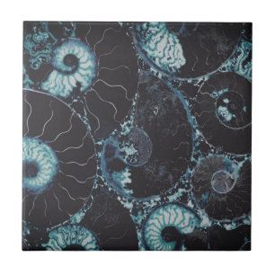 Nautilus midnite blue shell design tile