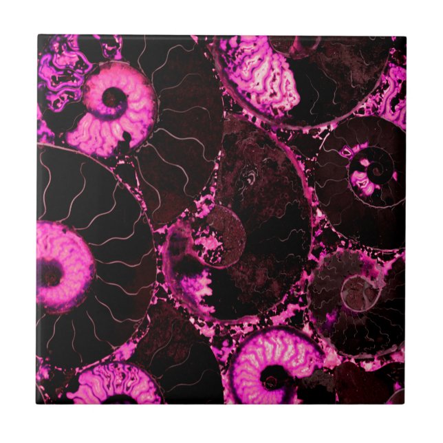 Nautilus pink shell design tile (Front)