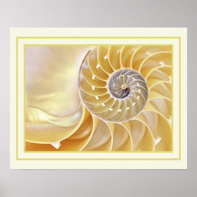 Nautilus Poster (Front)