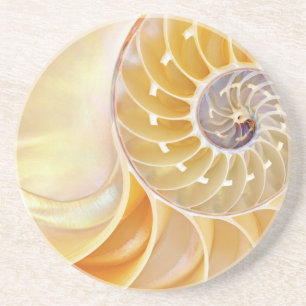 Nautilus Sandstone Coaster