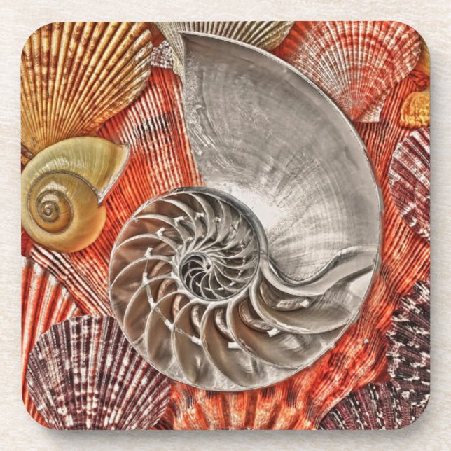 Nautilus Sea Shell Coaster (Front)