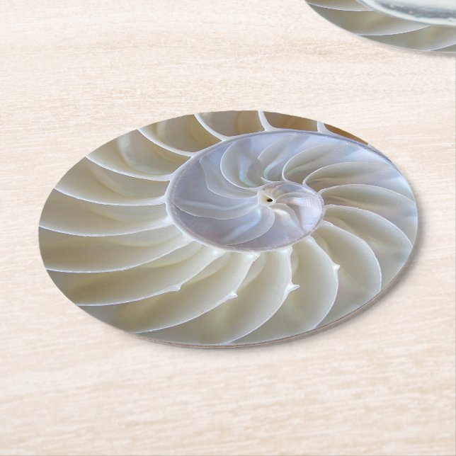Nautilus Sea Shell Photograph Round Paper Coaster (Angled)