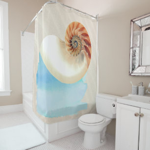 Nautilus Seashell and Sand