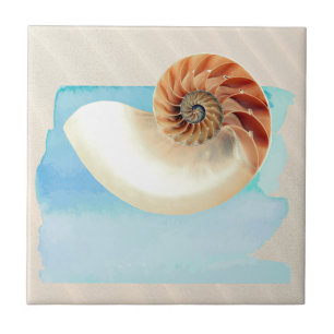 Nautilus Seashell and Sand  Tile