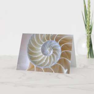 Nautilus Seashell   Golden Spiral Card