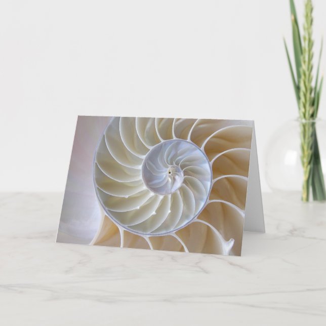 Nautilus Seashell | Golden Spiral Card (Front)