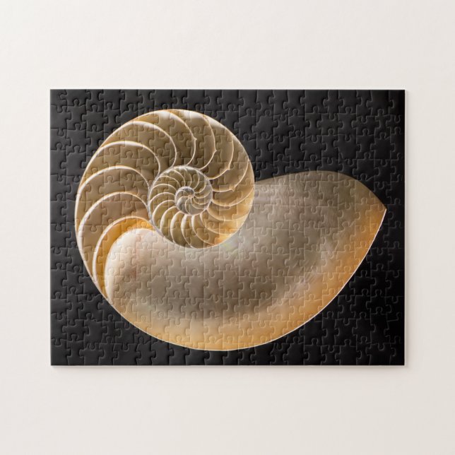 Nautilus Seashell Jigsaw Puzzle (Horizontal)