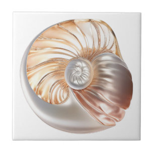 Nautilus seashell orange pearl 3D beach sea Tile