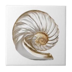 Nautilus seashell pearl 3D beach sea nautical Tile