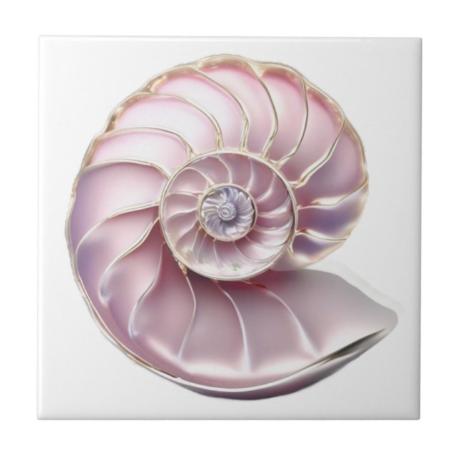 Nautilus seashell pink 3D beach sea nautical Tile (Front)
