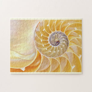Nautilus Seashell Puzzle