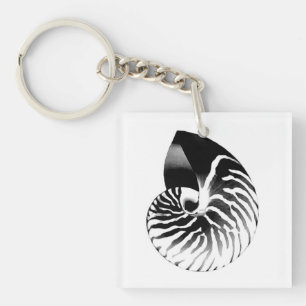 Nautilus shell - black, grey and white keychain