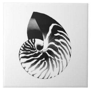 Nautilus shell - black, grey and white tile