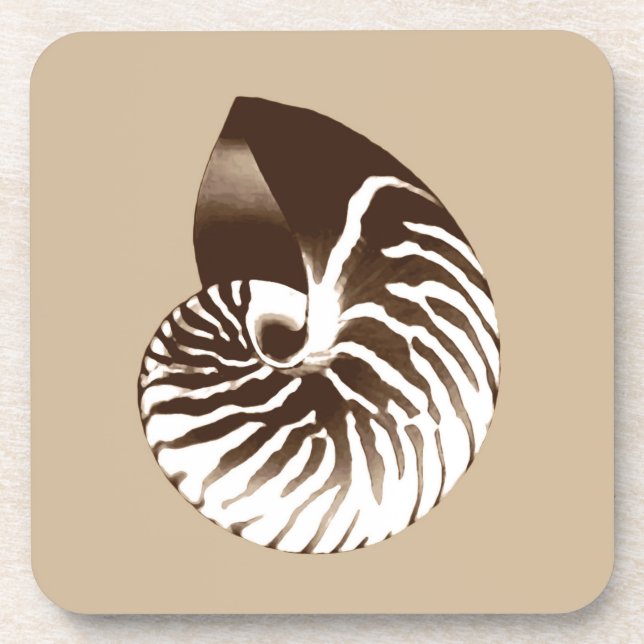 Nautilus shell - brown, white and beige coaster (Front)