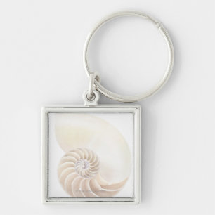 Nautilus shell, close-up keychain