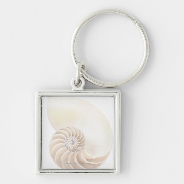 Nautilus shell, close-up keychain (Front)