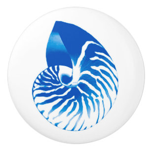 Nautilus shell - cobalt blue and white ceramic knob