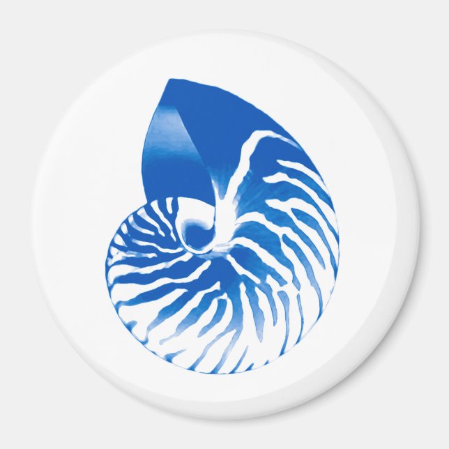 Nautilus shell - cobalt blue and white magnet (Front)