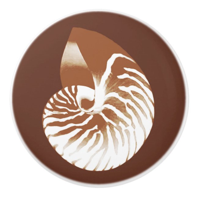 Nautilus shell - cocoa brown and white ceramic knob (Front)