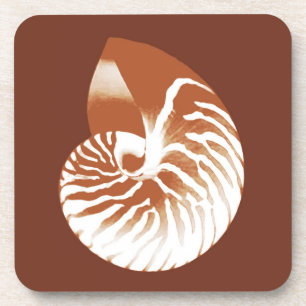 Nautilus shell - cocoa brown and white coaster