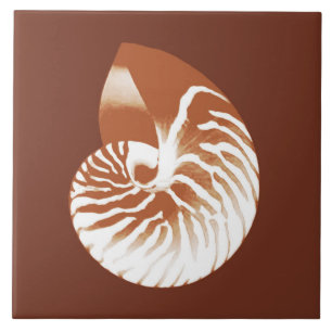 Nautilus shell - cocoa brown and white tile