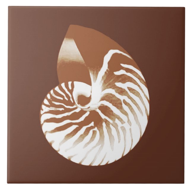 Nautilus shell - cocoa brown and white tile (Front)