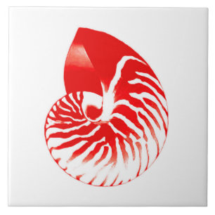 Nautilus shell - dark red and white tile
