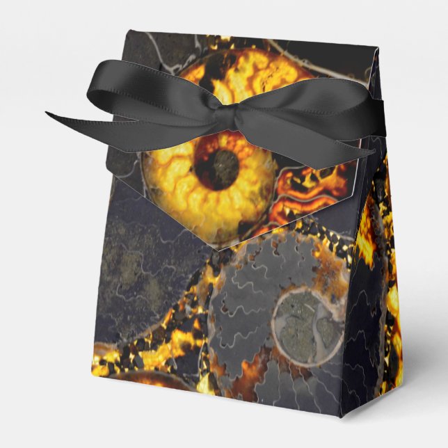 Nautilus shell design favor box (Front Side)