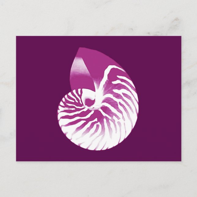 Nautilus shell - eggplant purple and white postcard (Front)