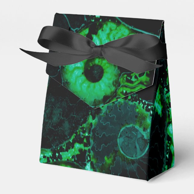 Nautilus shell - green design favor box (Front Side)