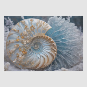 Nautilus Shell Inside Decoupage Tissue Paper