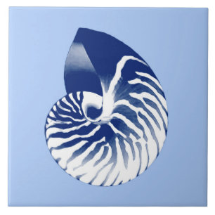 Nautilus shell - navy, white & light blue tile