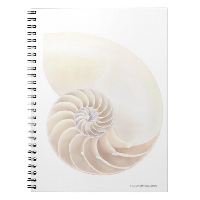 Nautilus Shell Notebook (Front)
