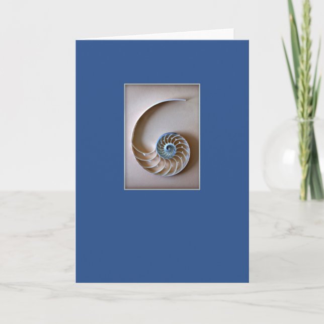 Nautilus Shell Section Card (Front)