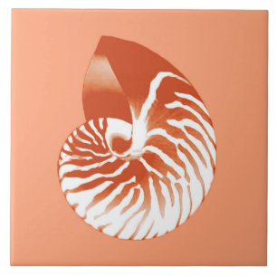 Nautilus shell - terracotta and white tile