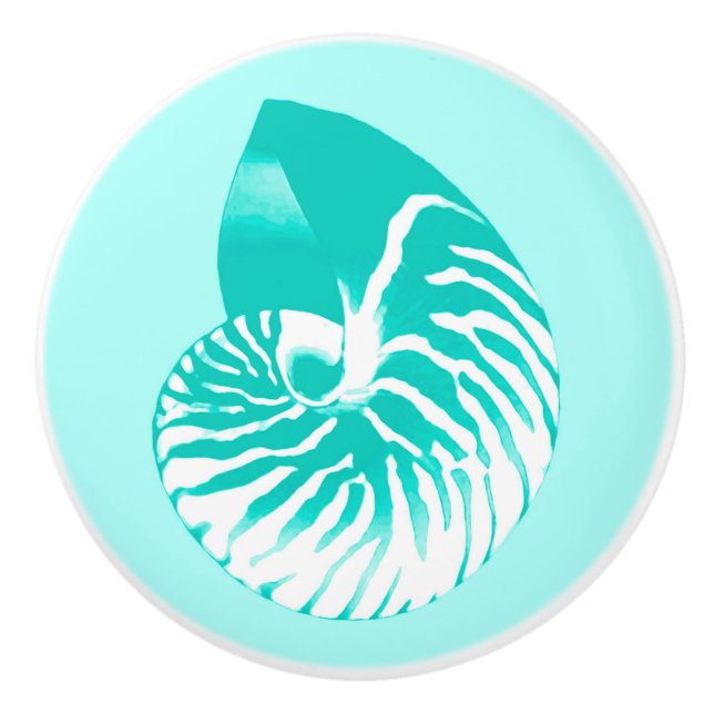 Nautilus shell - turquoise, aqua and white ceramic knob (Front)