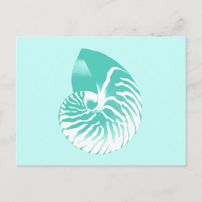 Nautilus shell - turquoise, aqua and white postcard (Front)