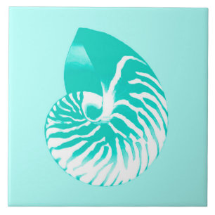 Nautilus shell - turquoise, aqua and white tile