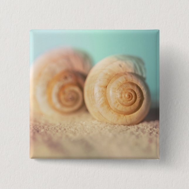 Nautilus Shells On Beach 2 Inch Square Button (Front)
