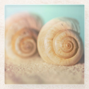 Nautilus Shells On Beach Glass Coaster
