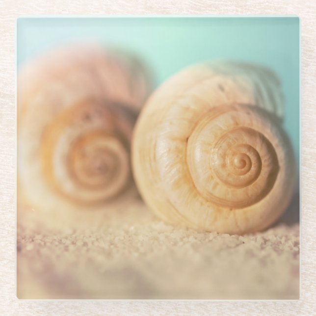 Nautilus Shells On Beach Glass Coaster (Front)