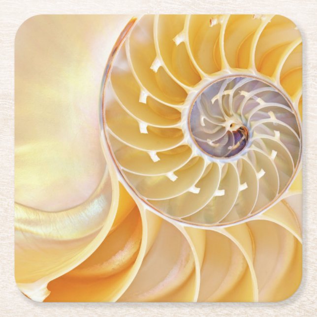 Nautilus Square Paper Coaster (Front)
