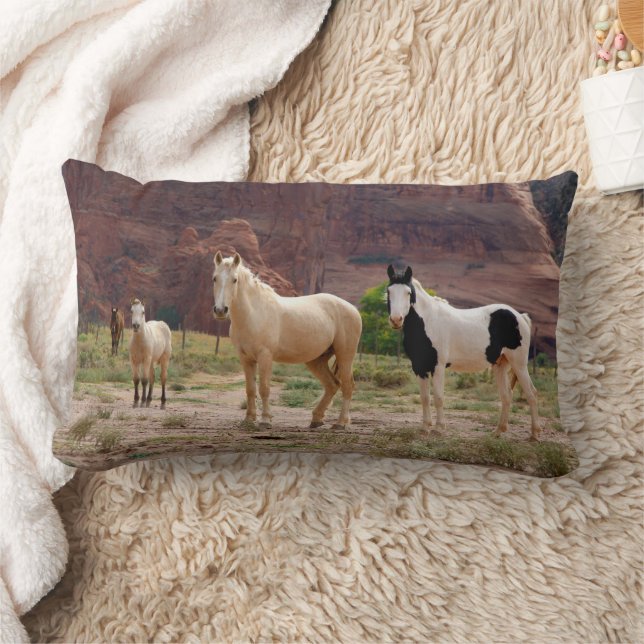 Navajo Horses Run Free on the Canyon Floor Lumbar Pillow (Blanket)