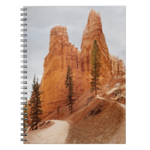 Navajo Loop Trail, Bryce Canyon Notebook