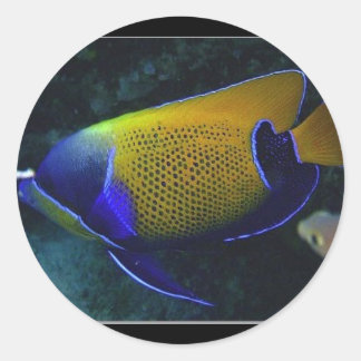 Navarchus Classic Round Sticker