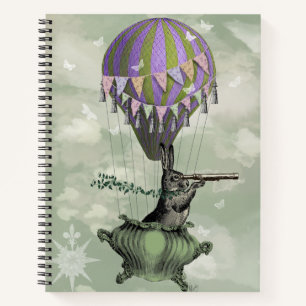 Navigating Rabbit Notebook