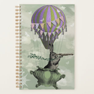 Navigation dans le lapin