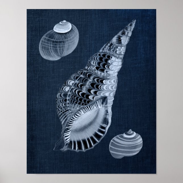 Navy Blue Beach Wall Decor Seashell Print no. 7 (Front)