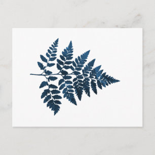 Navy Blue Fern Leaf Postcard